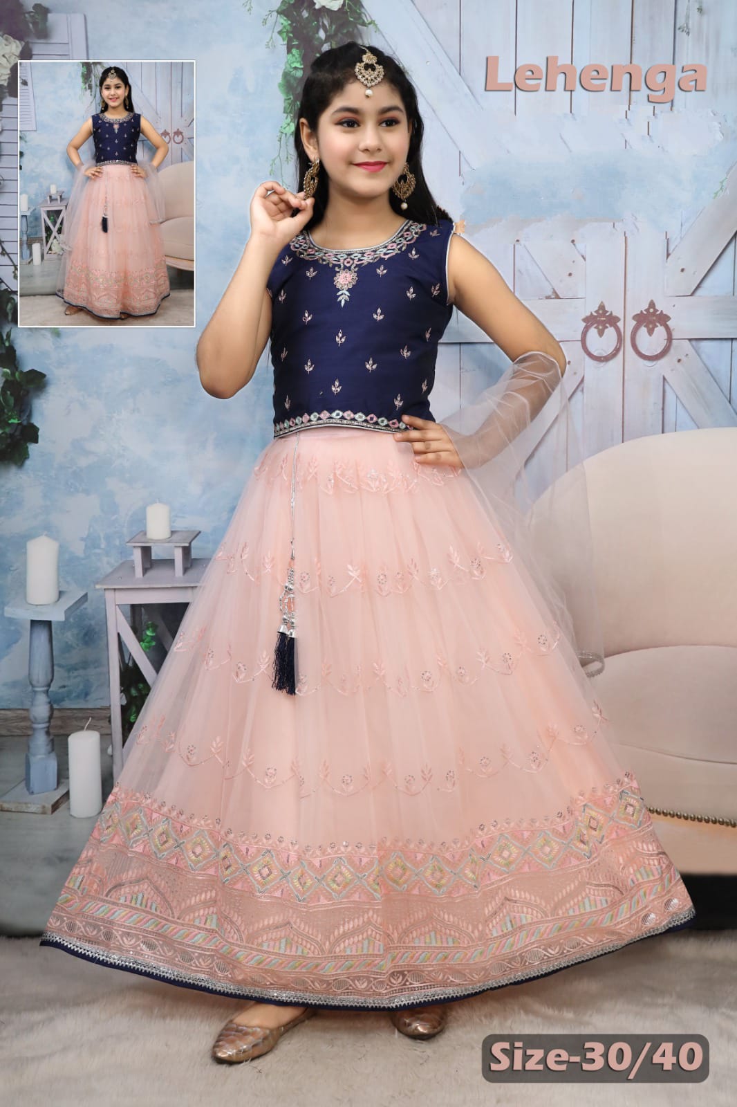 Net Lehenga with Contrasting Choli