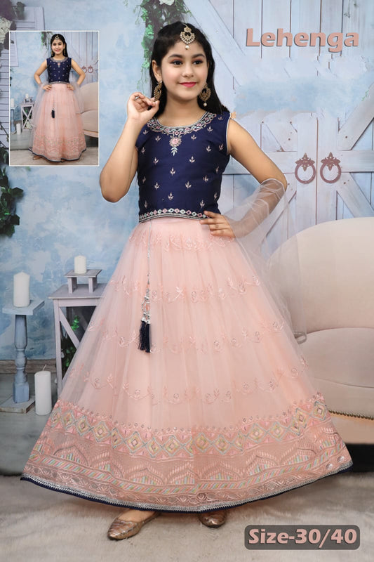Net Lehenga with Contrasting Choli